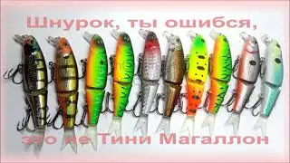 ФишКомм Шоп: Шнурок, ты ошибся, это не Тини Магаллон