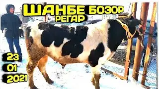 Saturday market in Tursunzoda Prices of BIG bulls for Boni / Tajikistan 2021
