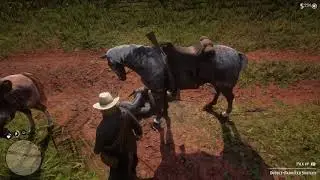 Red Dead Redemption 2 - Tripped Up