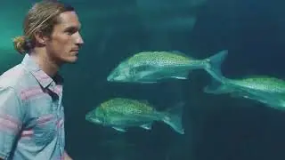 Martin Garrix & Dean Lewis - Used To Love Benu