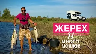 Жерех в Астрахани. Половодье и много мошки!