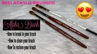 Alpha Brush | How To Break In, Clean, Restore, and Use Your Acrylic Brush | Best Acrylic Brushes