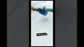 #суета #tiktok #shorts