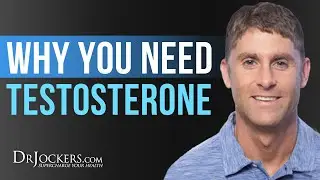 Why You Need Testosterone - Dr David Jockers