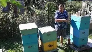Отбор медовых рамок Откачка меда в начале августа