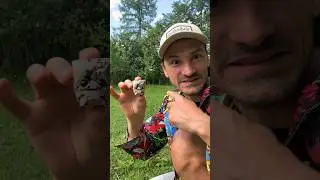 Раскопки / следующая серия скоро на канале