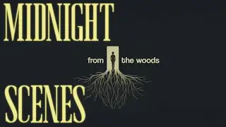 Midnight Scenes: From the Woods