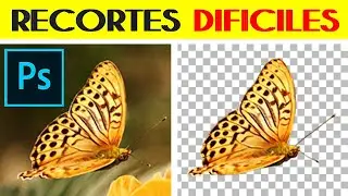 How to Easily Crop Difficult Images in Photoshop - Background Removal Tutorial
