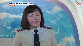 Акарицидная обработка в Покачах