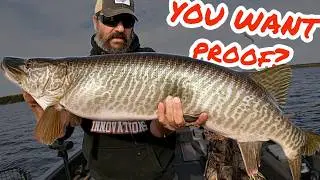 This huge TIGER MUSKY will change your perspective on CPR! Oct 19/24 vlog
