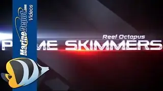 Reef Octopus Prime Protein Skimmers