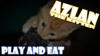 Azlan likes to play and eat