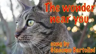 The wonder near you