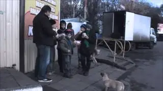 Наперегонки с судьбой