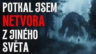 Potkal jsem NETVORA z jiného světa - CREEPYPASTA CZ (BeAfraidCZ)