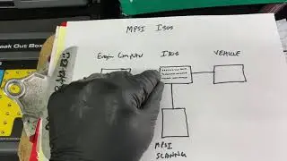 Dr Rob 