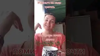 юмор #tiktok #юмор #trend #дуэт #смех #прикол #топ #dance #семья #жиза #shorts
