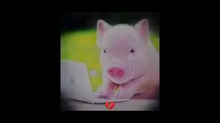 ХАХА Я НЕ СДЕРЖАЛСЯ!! 