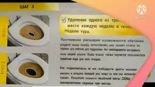 Как приучить кота к унитазу ? ;)