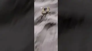 vai mexer com quem ta quieto kkk