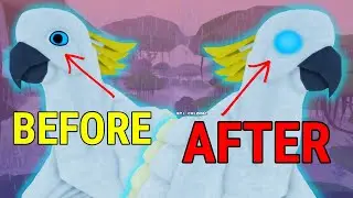 Glowing Eyes in Feather Family??