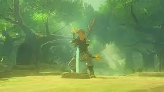 BOTW Sword