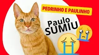 PAULINHO SUMIU
