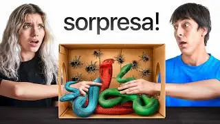 ¿QUÉ HAY EN LA CAJA? 📦 (NIVEL EXTREMO)