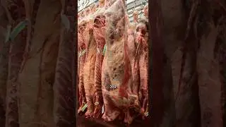 Есть мясо - это нормально! Но есть условие.