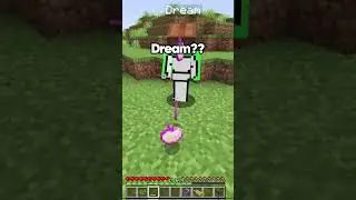 Minecraft Moment 