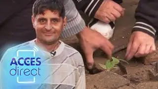 Arthur de la Ceptura şi Dana au plantat răsaduri, la Acces Direct