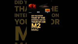 What if Apple M2 SSD fails?