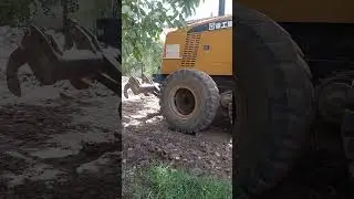 10 августа 2024 г.