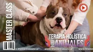 Terapia Holística para Animales