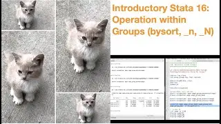 Introductory Stata 16: Operation within Groups (bysort, _n, _N)