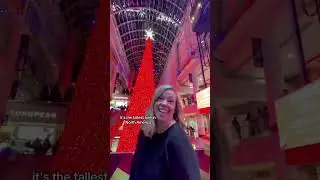 The Tallest Christmas Tree in North America!