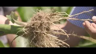 Monsanto BioAg™: A Brand on The Cutting Edge of Agriculture