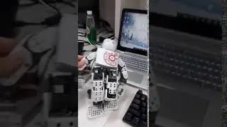 Control robot using ROBOTIS R+task
