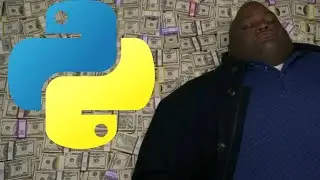 python programmer in a nutshell