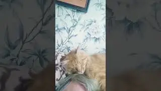 Жизнь с похмелья 