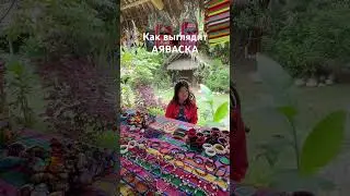 Как выглядит Аяваска