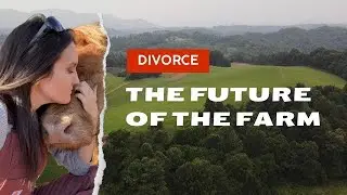 Rebuilding My Life: Life Update, Divorce, and the Future of the Farm