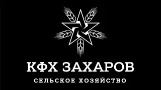 ПЕРЕЗАЛИВ!!! ЖАРКАЯ УБОРКА УРОЖАЯ 2023!!!ЮБИЛЕЙ НА ПОЛЕ!!!  