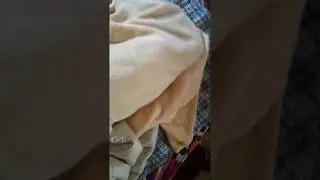 Самая любимая игра всех детей с младенчества!!! Ку-ку)) играйте прямо сейчас!!