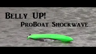 BrothersRC | Belly Up! | Proboat Shockwave 26