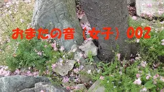 おまたの音(女子)002