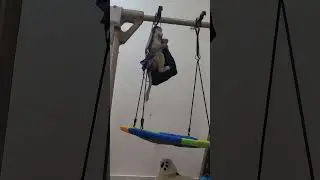 Просто умора!!!!🤣🤣🤣🤣🤣