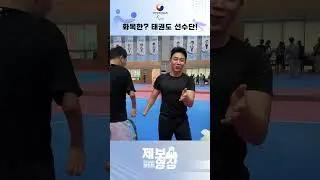 화목한? 국가대표 태권도 선수단!?🥋