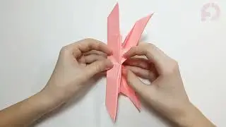How to Fold an Origami Butterfly