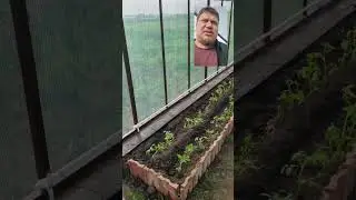 изготовление теплицы 2 часть